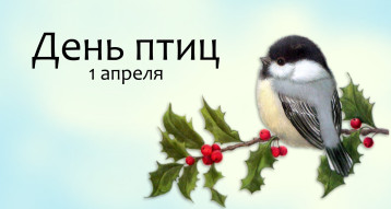 1 апреля - Международный день птиц 1 апреля - Международный день птиц.